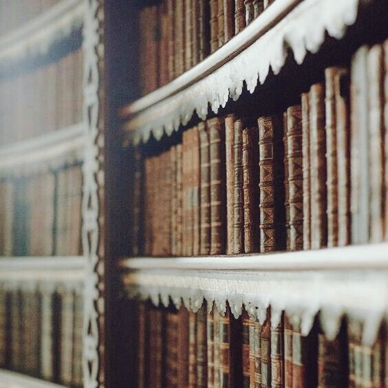 FAVHOWL's tweet photo. ㅤㅤ     ㅤㅤ                         Em Harry Potter. 💡· ˖° 
                                       † :: ask me "𝘄𝗵𝗮𝘁 𝗶𝘀 𝗹𝗼𝘃𝗲?" 
                                          and i'll answer "𝗪𝗼𝗹𝗳𝘀𝘁𝗮𝗿" https://t.co/aVUeh42kmJ
