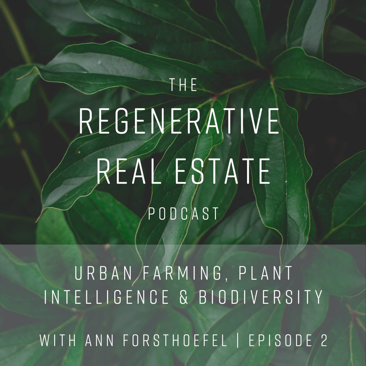 Episode 2 of the #TRRP: Living in the heart of north #pdx, tune in to the story of Annie's Urban Farm. This is the essence of #regenerativerealestate 🌱chooselatitude.com/journal/urban-…