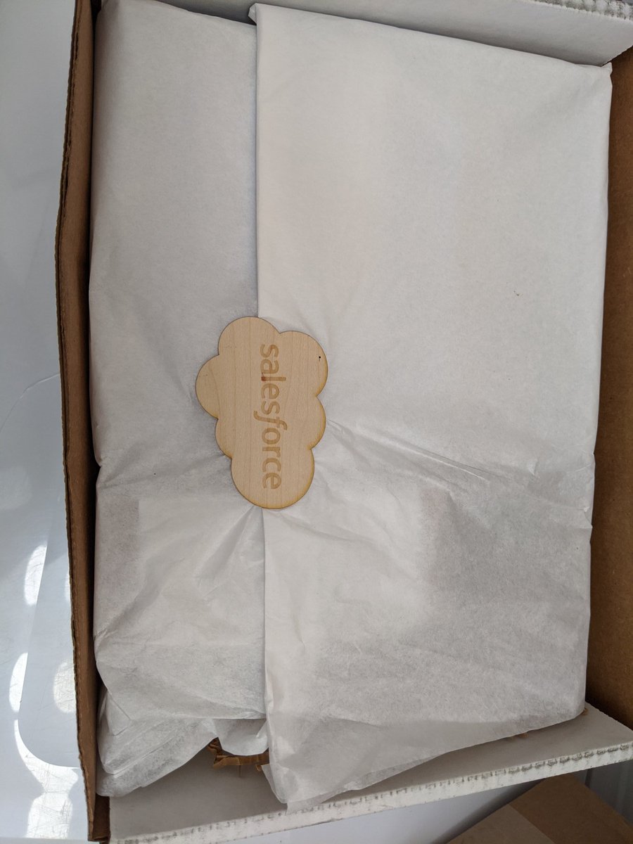 DevelopingFlow's tweet image. Thank you @salesforce for the amazing gift for #LightningChampions! So excited to have another #Yeti, along with the rest of the items! 😀