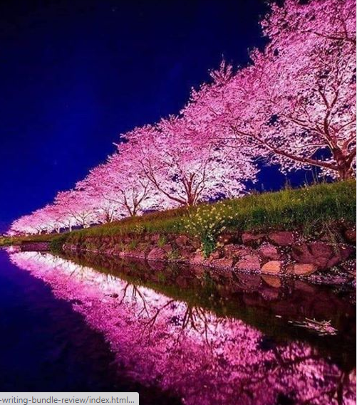 Shendry 🇺🇸 (@shendry70085341) on Twitter photo 