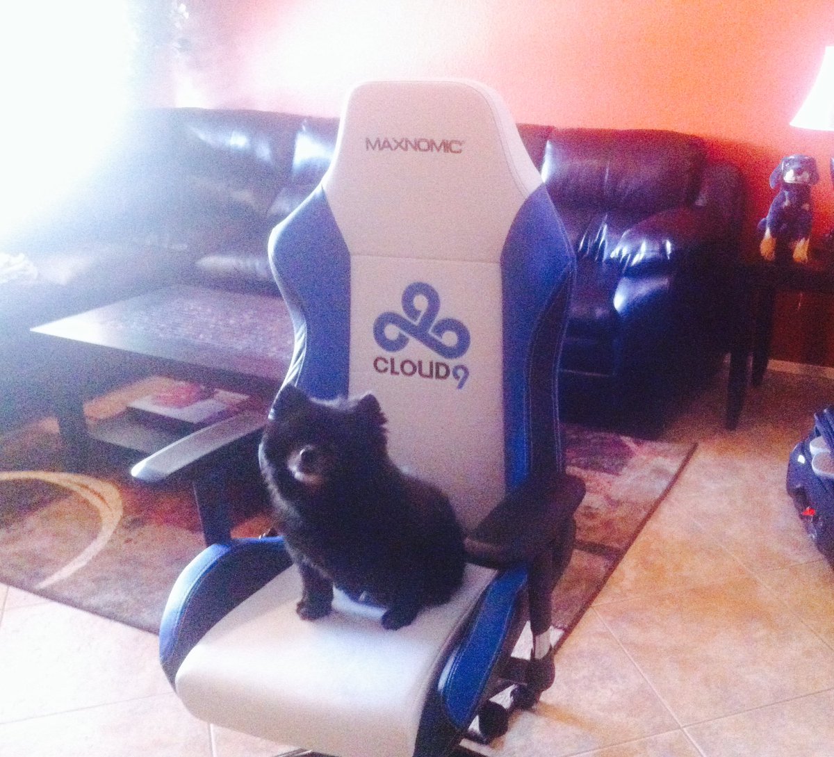 Sean Gares tweet media