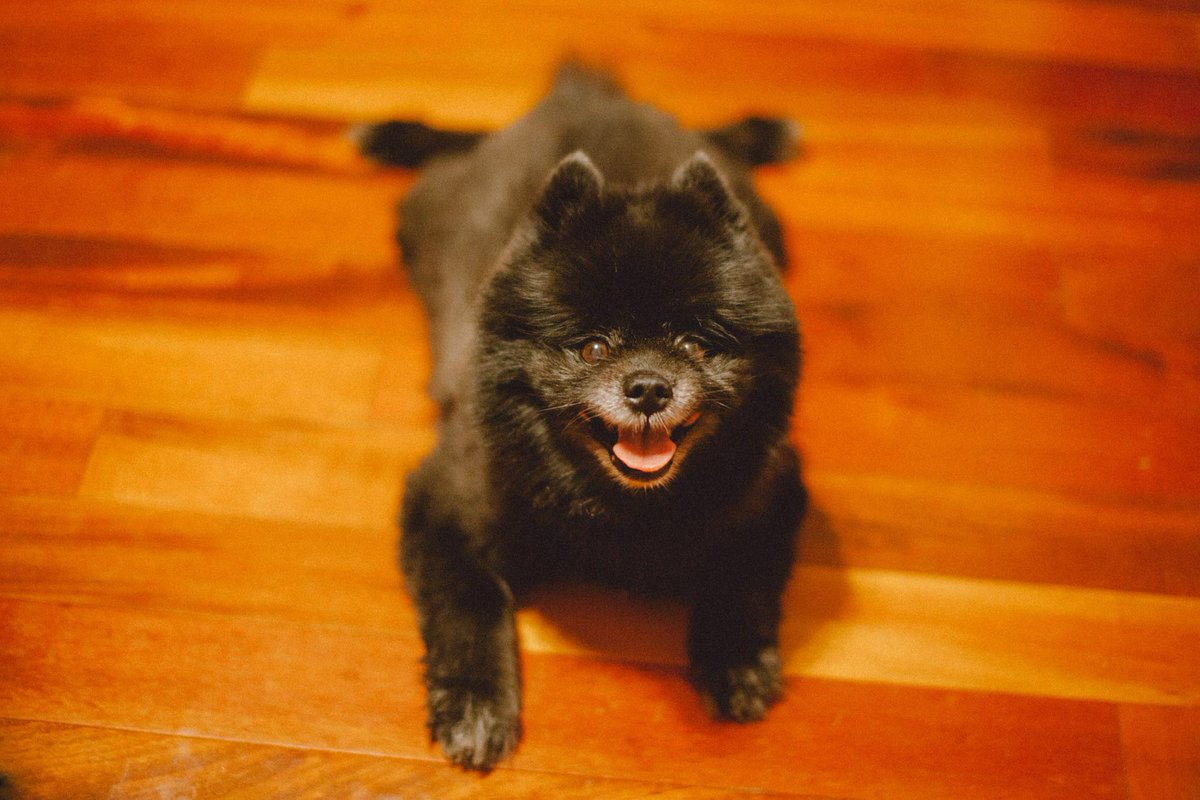 Sean Gares tweet media