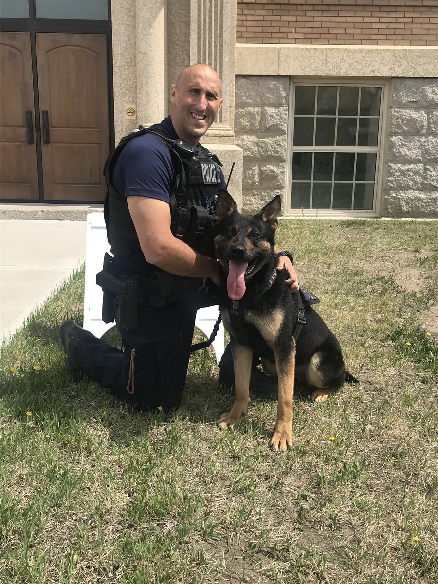 Congratulations to canine handler, Cst. Jim Biniaris and PSD “Merc” on their validation today! This pair is a fantastic addition to the K9 Unit, and a huge asset to their community policing team. <a href="/MJPS_K9/">MJPS K9</a>