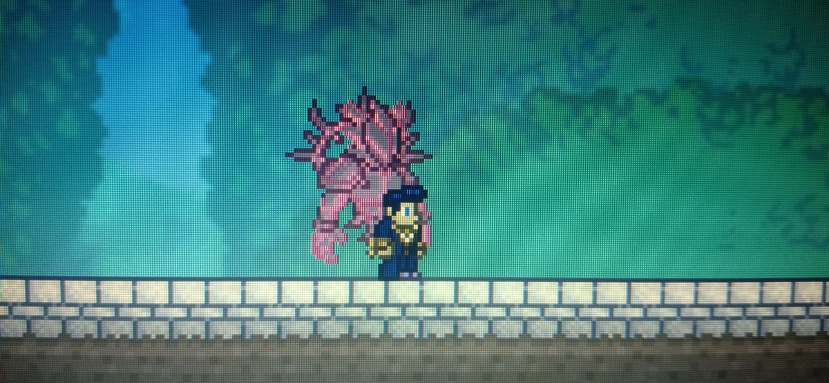 rTerraria's tweet photo. I love this new hairstyle option https://t.co/HWrK057CSP https://t.co/doQuHlwbsL