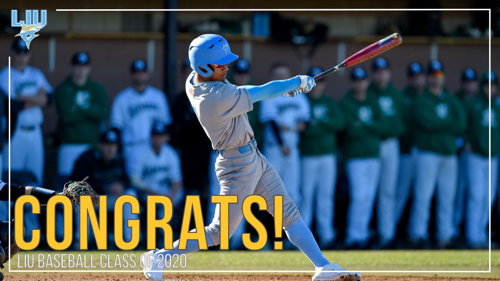 LIU Baseball tweet media