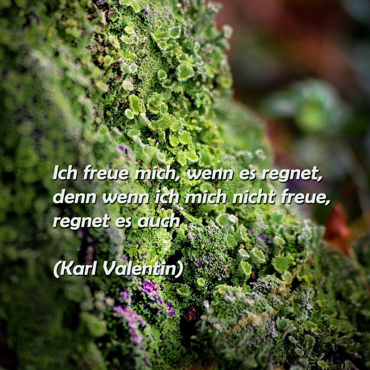 KlapprothRuth's tweet photo. Karl Valentin spricht mir aus der Seele. Vor allem jetzt in dieser Zeit gilt es nicht den Kopf zu verlieren und erst recht nicht die Zuversicht und die Fröhlichkeit. https://t.co/7S7bnGoK83