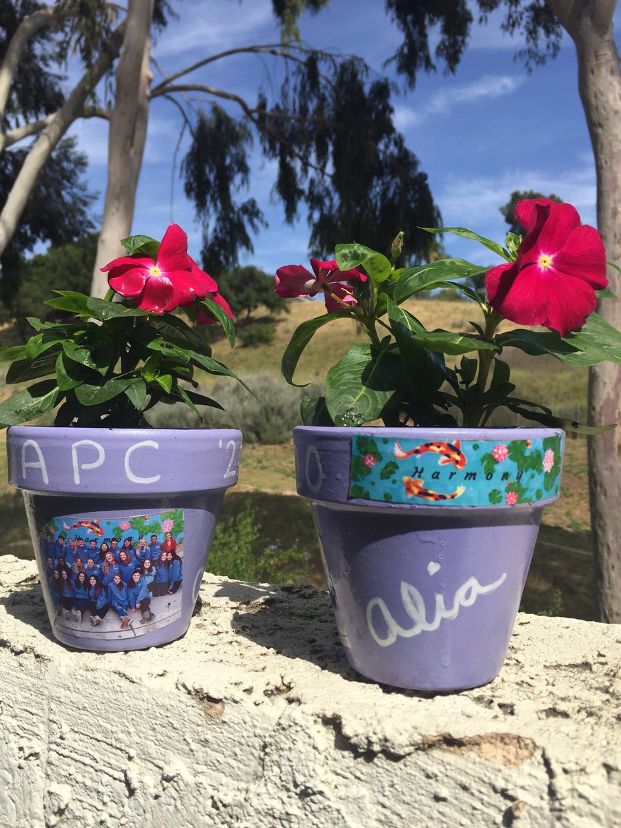 AdvPeerCounsel's tweet photo. Senior Farewell gifts https://t.co/2qBtE6X1uv