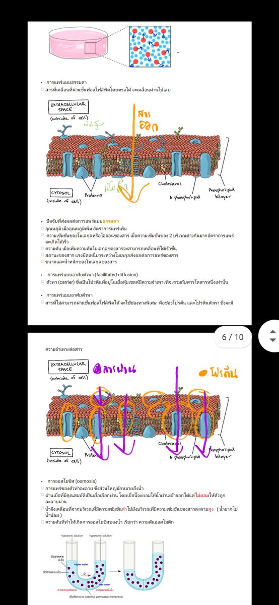 traxhergettie's tweet photo. ᵐ ᶠᵒᵘʳ ᵈᵃʸ ᶠⁱᵛᵉ
Thread นี้เราจะลงสรุป ม.4 ของวันนี้ ทุกวิชาเลย เลื่อนดูได้ข้างล่างนะคะ 

ขอบคุณทุกๆเมนชั่น เรารู้สึกดีมากและอยากทำต่อไปเพราะพวกคุณ ขอบคุณนะคะ

📢ไฟล์ค่า https://t.co/oKEA4g4W9x

#เรียนออนไลน์ #ม4 https://t.co/2gmgMR4eap https://t.co/FFieq2B39T