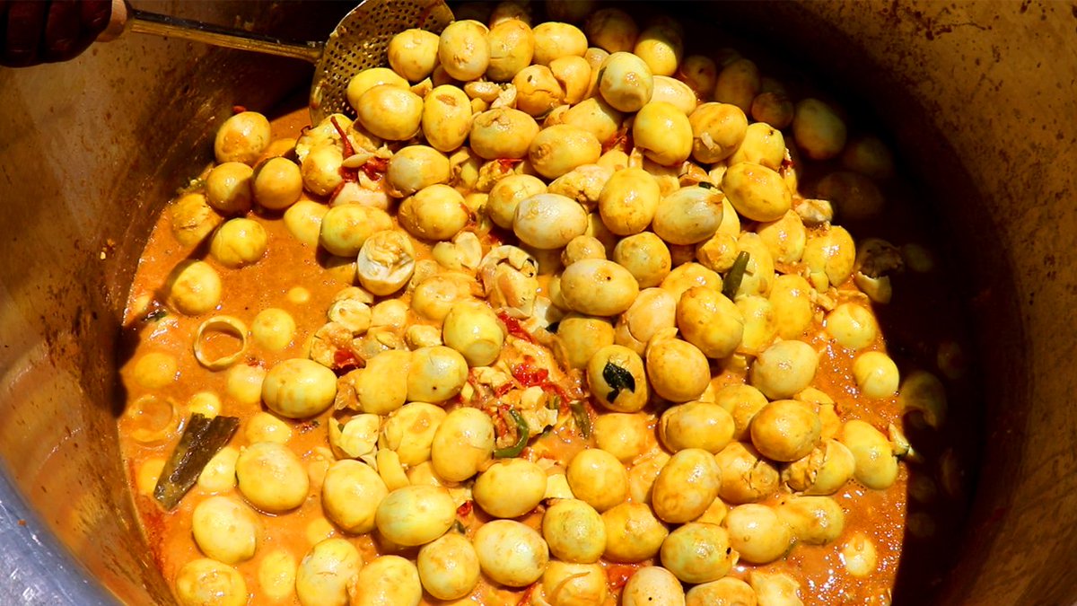 Farmer_Cooking's tweet photo. 400 Eggs Curry Recipe Prepared by Daddy! 😋😋😋😋😋
Watch full video : https://t.co/i50NX6VmUE
#400Eggs #EggCurry #VillageEggCurry #TraditionalEggCurry https://t.co/lgSF0itMca