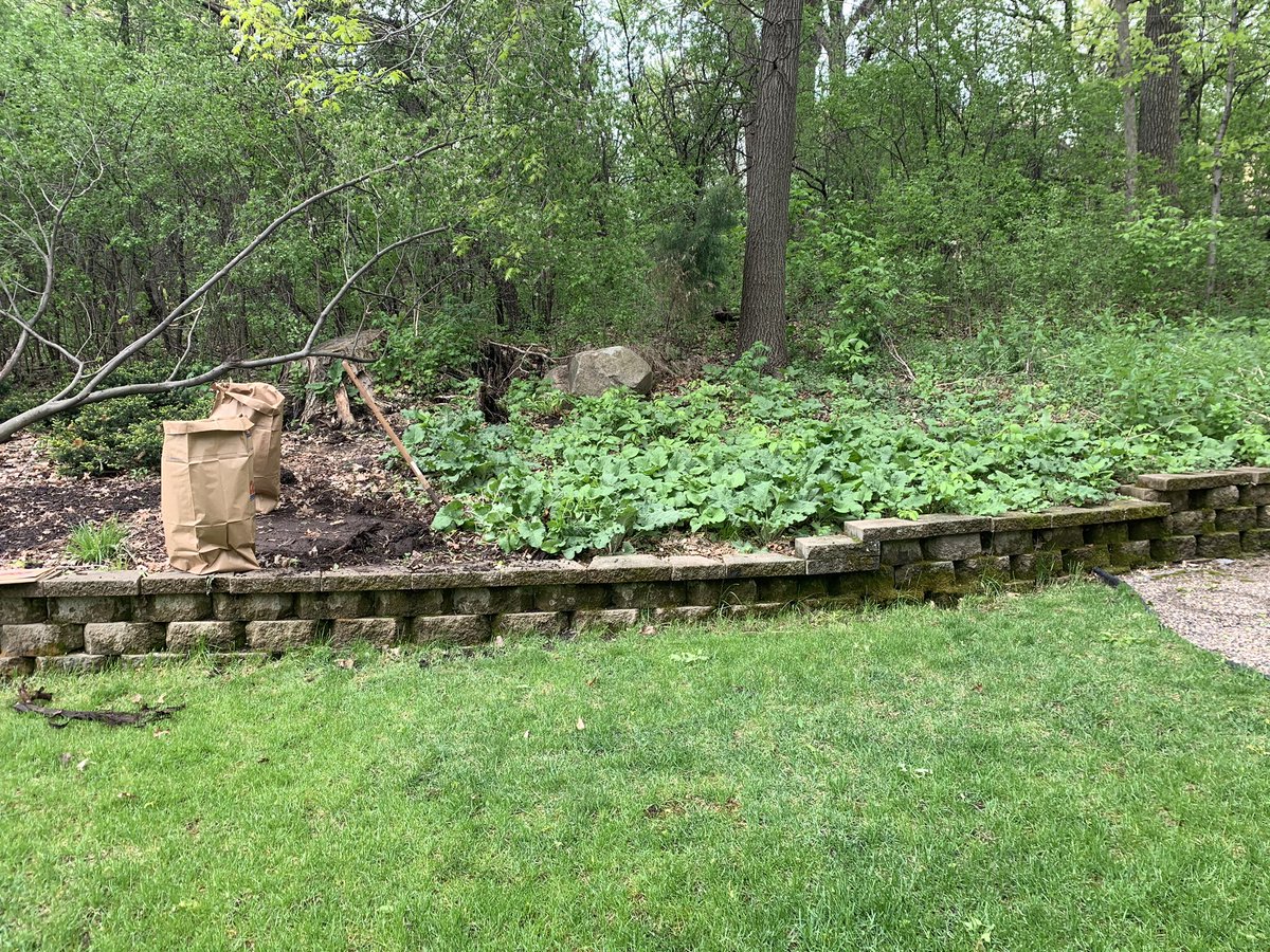 respectgrillers's tweet photo. Lil transformation work brought to you by yours truly😰😈 (project completed 5/18) #hostas #greenthumbsboi #ASIATIClilies      More to come🧙‍♀️stay tuned.....always take care of the little things #teamrespect https://t.co/xaGmcd5wW1