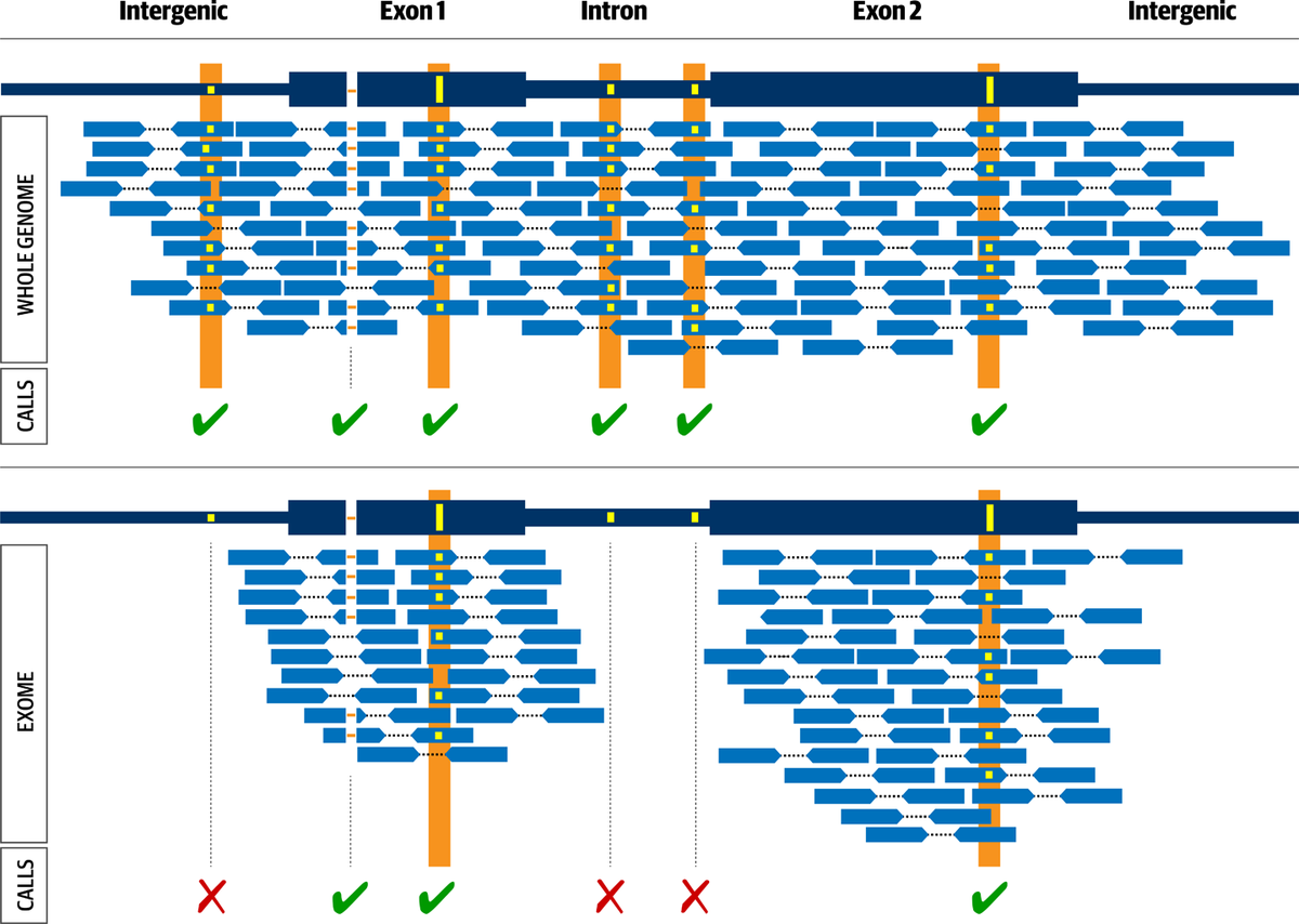 2-Genomics in a Nutshell: A primer for newcomers to the field of genomics, covering foundational terms and concepts such as genes, DNA and genomic variation, plus the technical basics of sequencing and handling genomic data.