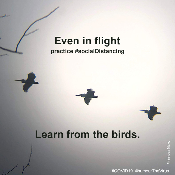rubenchhetri's tweet photo. The latest news says flights will resume from 25 May and here's a message from the virtual studios of \foreverrNow. #SocialDistancing #humourTheVirus #WearAMask https://t.co/PWU9KpjFaI