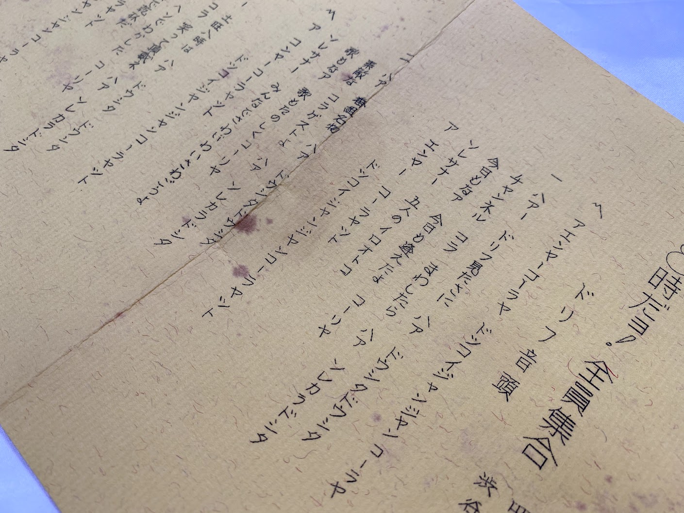 ドリフ えん や ー こら や チョットだけヨ 全員集合 歌詞 ザ ドリフターズ Www Stdc Co Nz