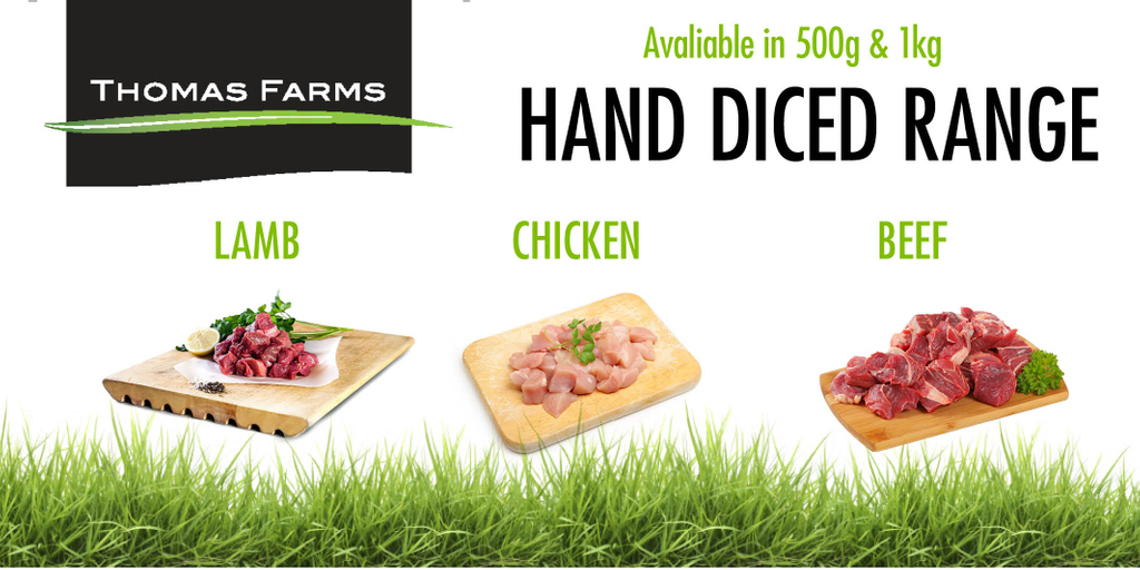 Thomas Farms tweet media