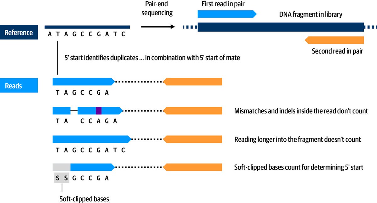 6- #GATK Best Practices for Germline Short Variant Discovery: Step by step examination of what may be the most commonly run genomics pipeline in the world, with highlights on joint calling for populations and deep learning for single-sample analysis.