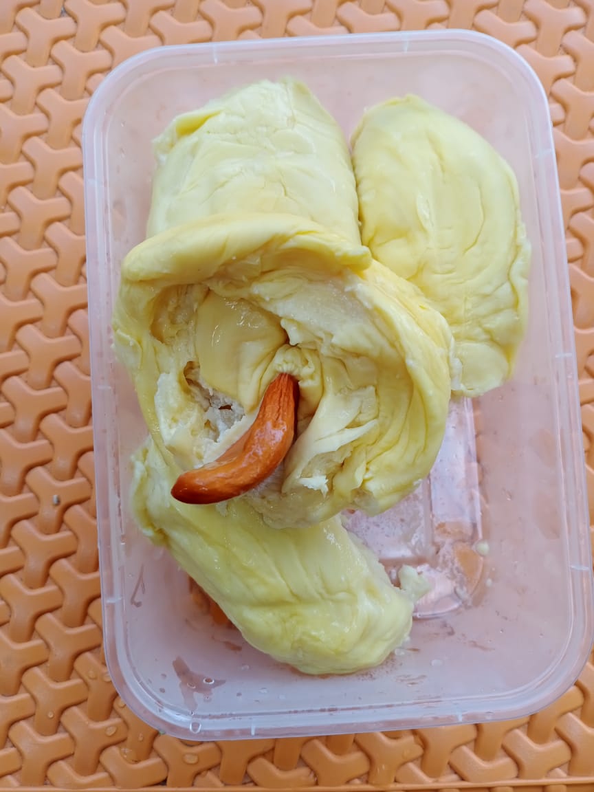 AndyNopha's tweet photo. Durian Montong Palu
Per pack isi 500gr
Minat 087830484117 https://t.co/sMgu4p7WTD