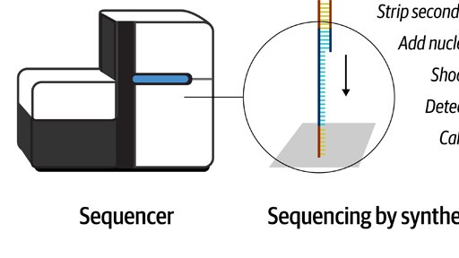 2-Genomics in a Nutshell: A primer for newcomers to the field of genomics, covering foundational terms and concepts such as genes, DNA and genomic variation, plus the technical basics of sequencing and handling genomic data.