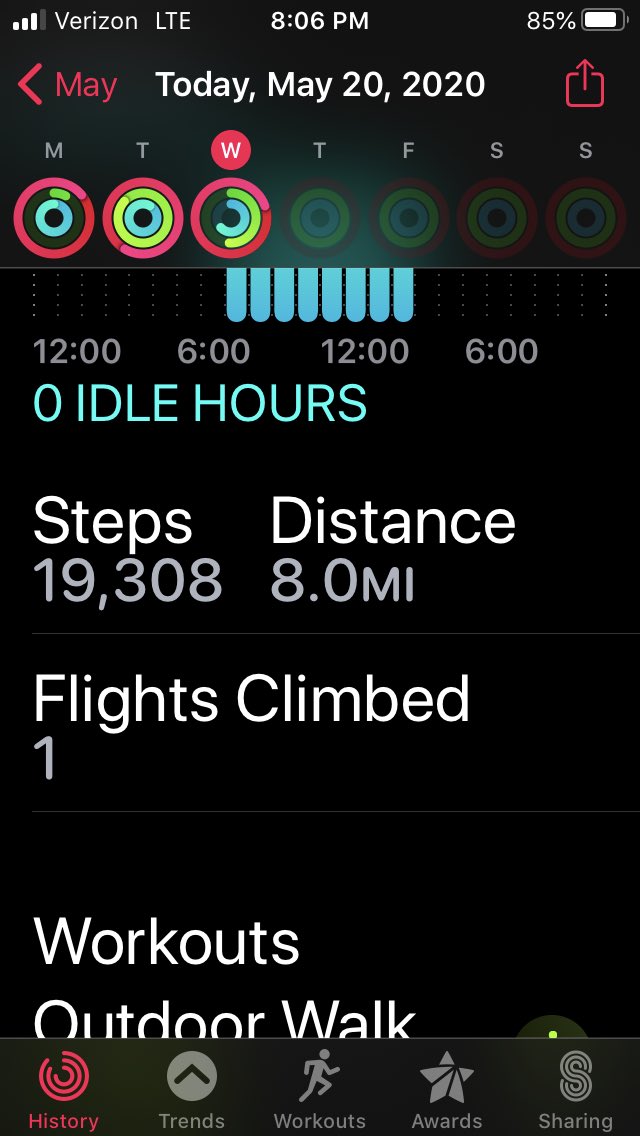 JeanRagalieRD's tweet image. Walked and walked and walked #10kstepchallenge ⁦@OsteoporosisNOF⁩