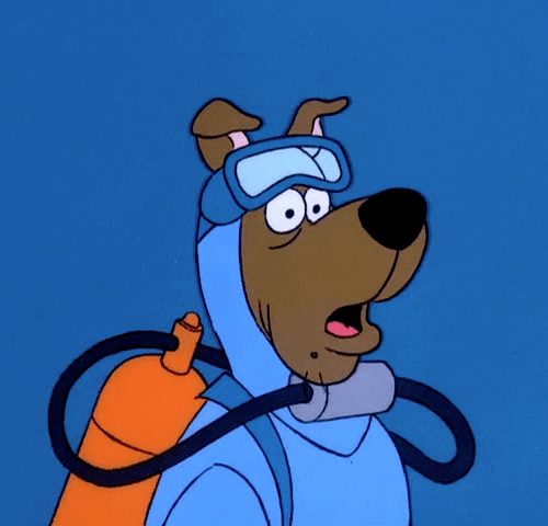 BVMAGJy's tweet photo. whenever i hear "Scuba divers" this is what i see . . . https://t.co/FRpxidoowr