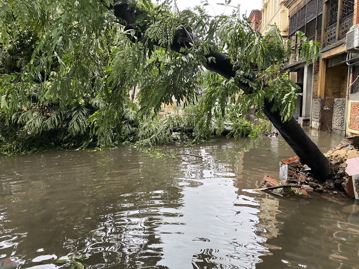 itzdip's tweet photo. All I see around is devastation and uprooted trees. @cnni @ndtv @AlJazeera_World @nytimes @republic #CycloneAmphan #Kolkata #prayforwestbengal #HelpWB https://t.co/U6B9LZedF7