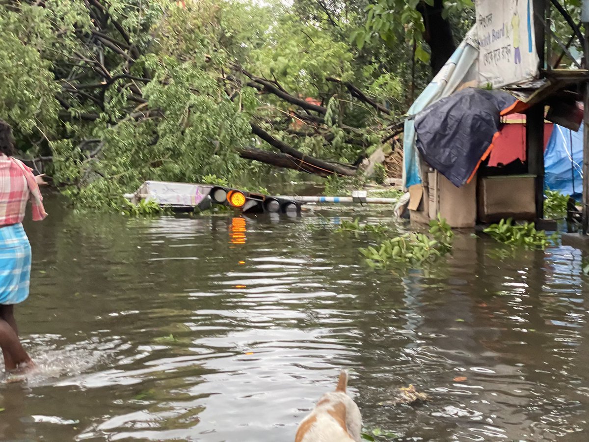 itzdip's tweet photo. All I see around is devastation and uprooted trees. @cnni @ndtv @AlJazeera_World @nytimes @republic #CycloneAmphan #Kolkata #prayforwestbengal #HelpWB https://t.co/U6B9LZedF7
