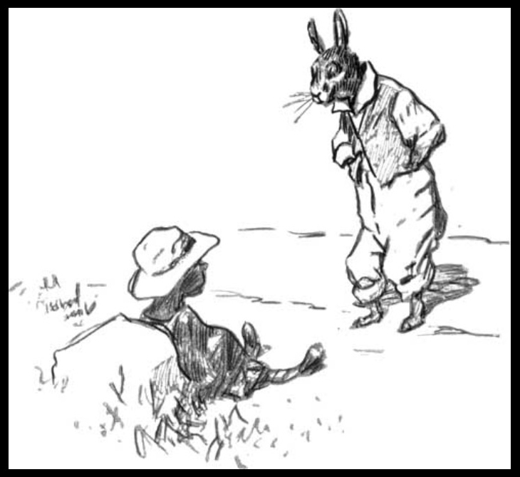 ThreadI've figured out what's going on with mail-in voting.That's is to say,  @realDonaldTrump figured out what's going on with mail-in voting.Trump is using the Briar Patch Strategy.From the Georgia folk tale "Br'er Rabbit and the Tar Baby."