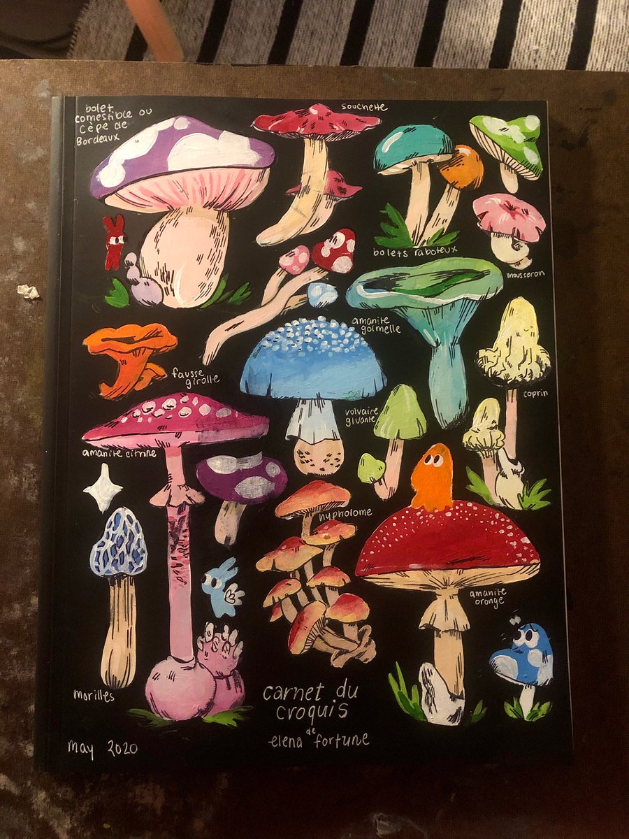 The Matrix Wizard On Twitter Todays Project Was Painting My New Sketchbook Cover With Reference From This French Mushroom Guide From The 1930s Https T Co 5se0njtjrb,Clip Art Hand Drawn Frames