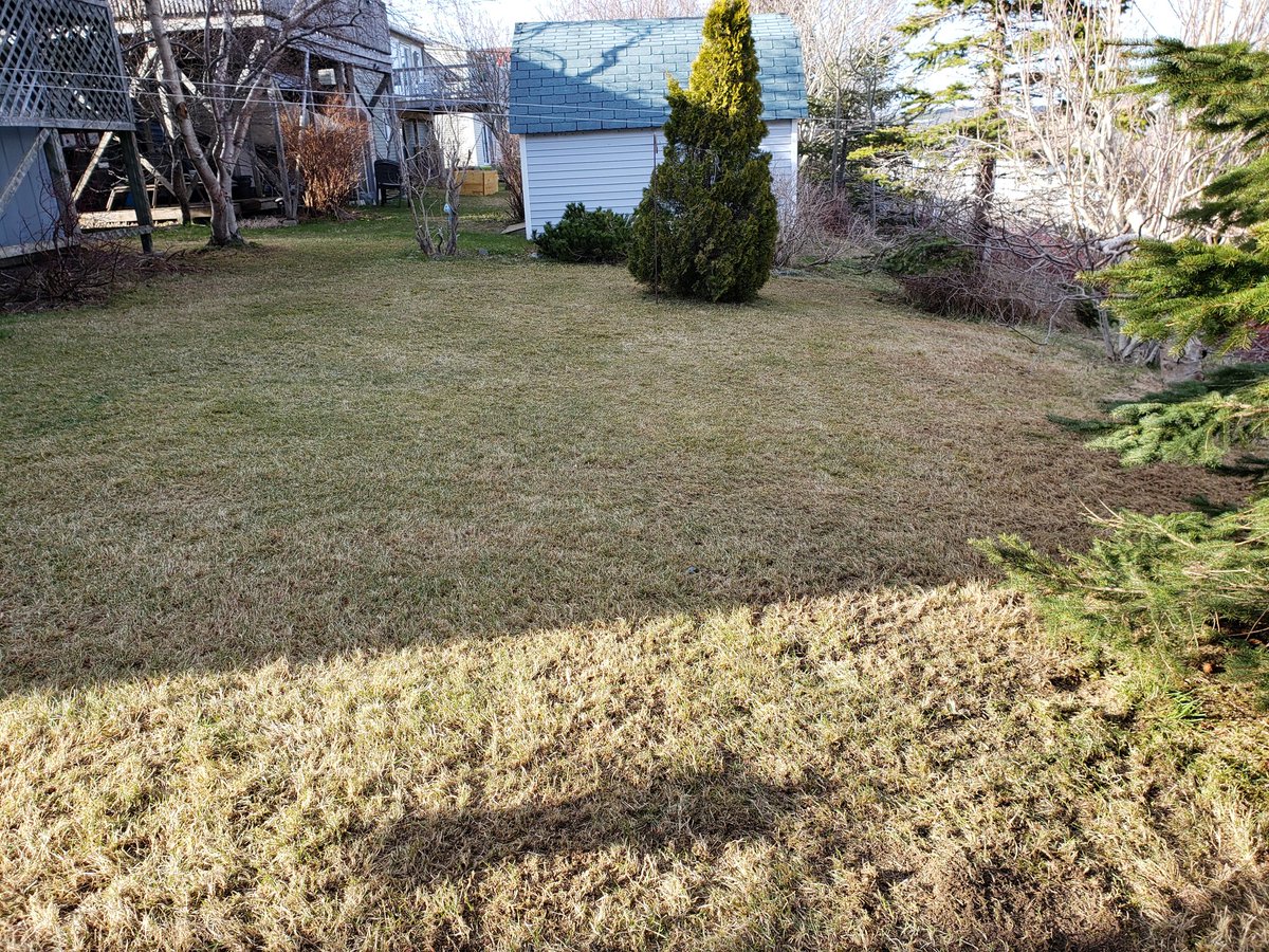 J_Ko__'s tweet photo. After hours of scraping up moss, I rented the machine. Best 40 bucks I ever spent. I did the rest of the back yard + the front yard in the time it took me to do 1/3 of the back yard. Ready for seed! #DIY2020 #youcandoit #dethatching #buhbyemoss https://t.co/c8qm3gSVrD