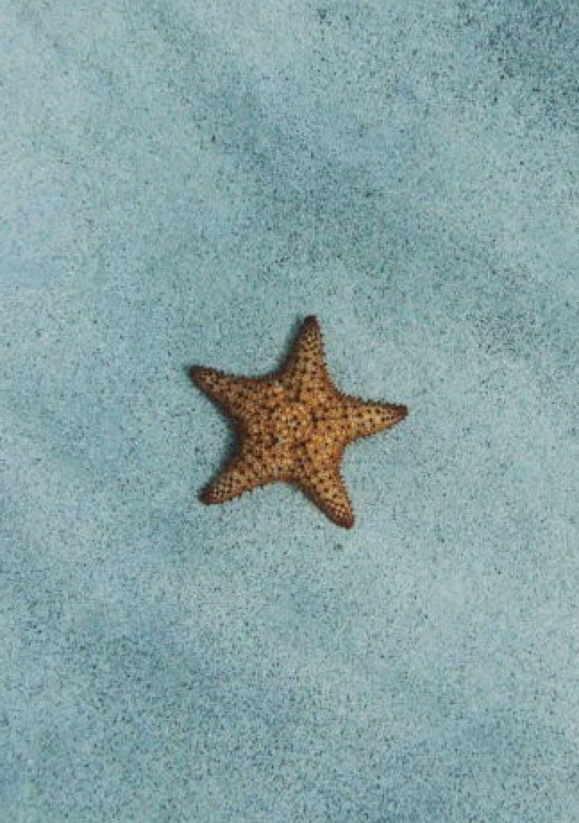 samcr__'s tweet photo. #makeupwednesday 🏝 https://t.co/oY7OBS3g28