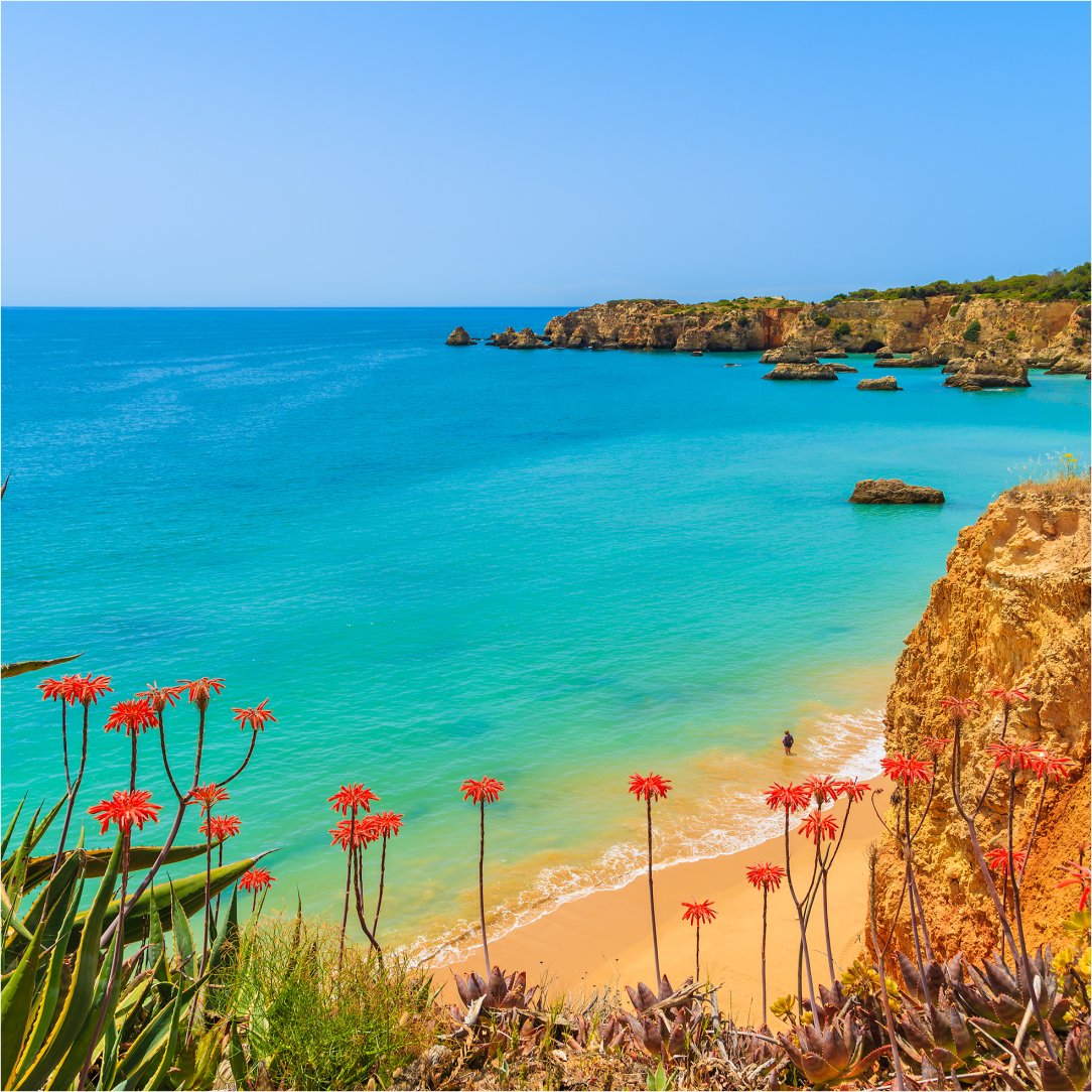 Today is the european oceans day! 🌊
🌍The land is made up of 71% water.
💧50% of the oxygen we breathe comes from the sea.
🌊 3.8 billion years: It is the "age" of our oceans.
🐟 In 2050, there may be more plastic than fish in the oceans.
Protect what we all share!  #oceanday