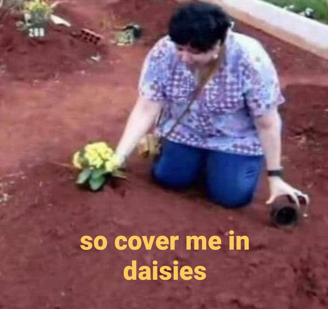cover me in daisies