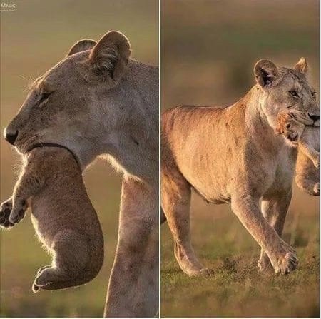 النظرة من زاوية واحدة قاصرة وأحياناً مضللة أو ظالمة ! ( فَتَبَيَّنُوا )