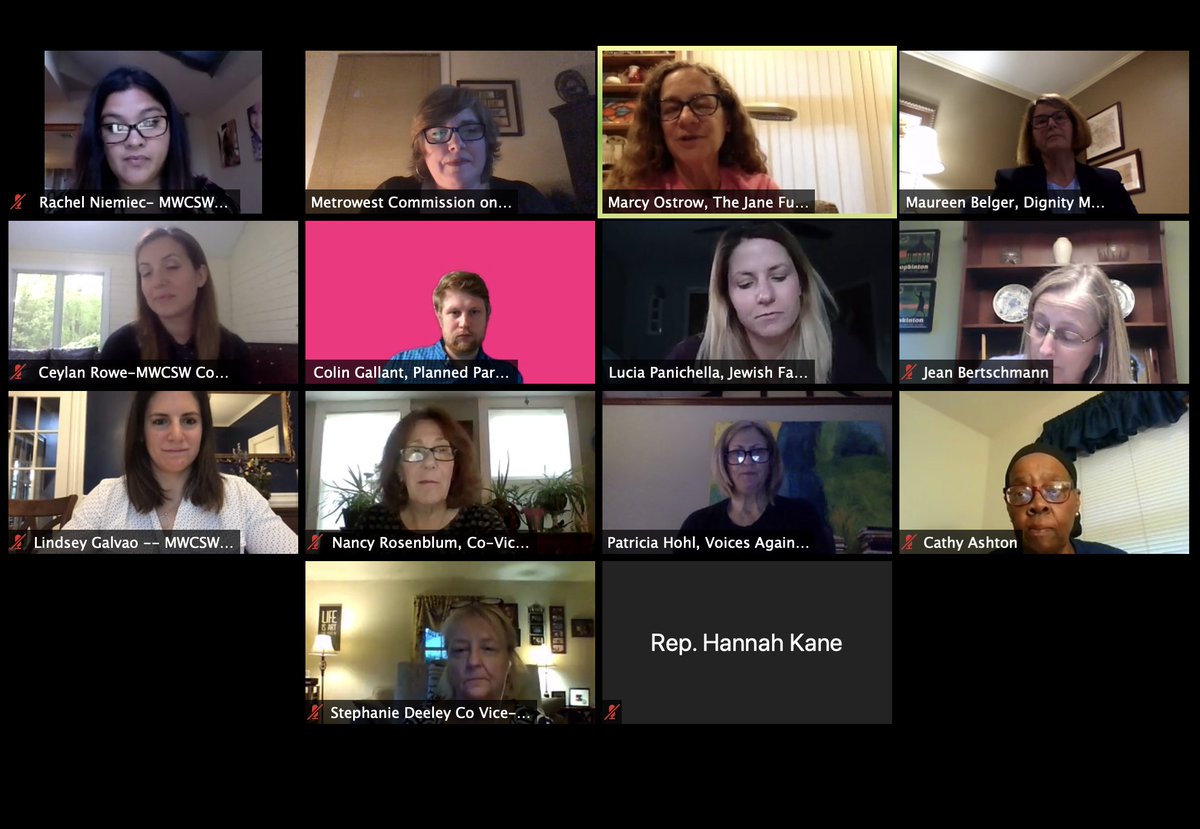 Metrowest_Women's tweet photo. A very special thank you to all of our esteemed panelists-- Maureen Belger, Colin Gallant, Patricia Hohl, Marcy Ostrow, Lucia Panichella and to Rep. Hannah Kane for joining our virtual conversation tonight! https://t.co/8xw1dqVs9y