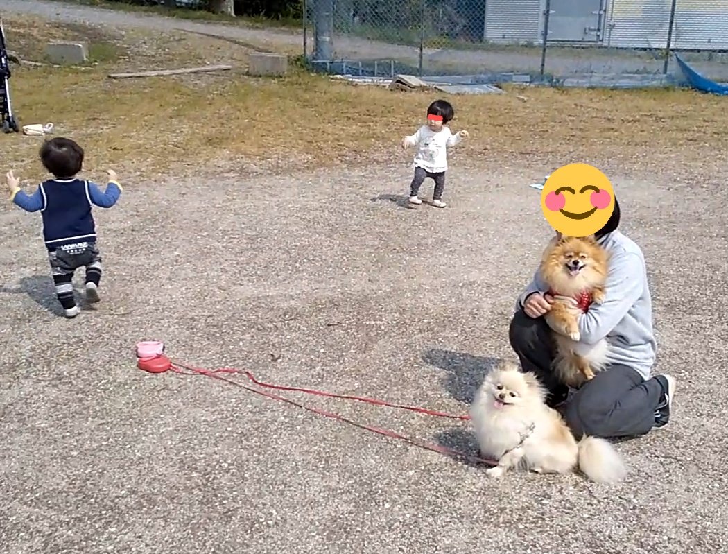 mokyu703's tweet photo. 双子達はワンコの散歩について行くのが日課に。いつものグラウンドで遊びます👦👧🐶🐶
最近のお散歩の様子です😀 https://t.co/990OTBxfGC