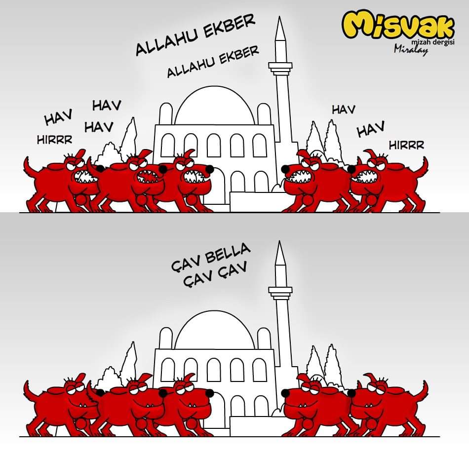 Çok Trajik bir karikatür ama okadar doğru Sözde müslüman ülkeyiz ama ezan sesinden rahatsız olan camilerde şarkı çalınmasını isteyen bundan mutlu olan kesimlerle çevrelemiş tamamen batının iyisini değil de kötü karakterszliğini almış bir kesimle iç içeyiz
#camilerkırmızıcizgimiz