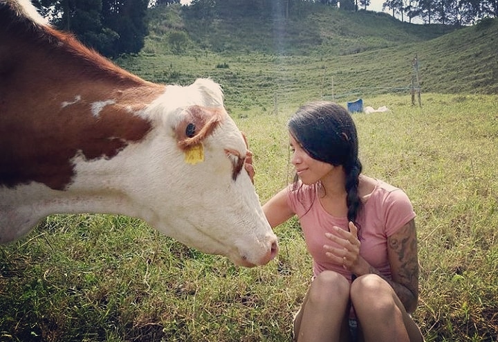 Carol Ruiz ⓥ ⊙⊝⊜🐮🌸 tweet media