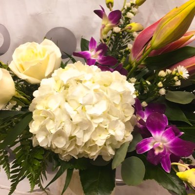 BonavistaFlowe1's tweet photo. #NewProfilePic https://t.co/gDpmaDXuTp