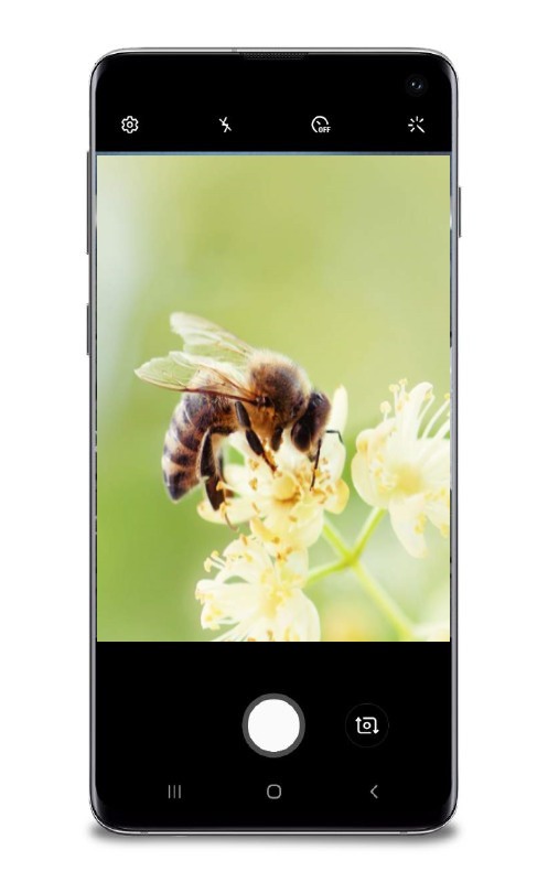 Upande's tweet photo. We just celebrated World Bees Day! Bees are the major pollinators &amp; provide incalculable economic &amp; ecological benefits to humans, plants and wildlife. @Upande is contributing to building tools for tracking bees &amp; pollination @icipe @jrsfoundation #WorldBeeDay #ZeroHunger https://t.co/N7RB3jmY1y