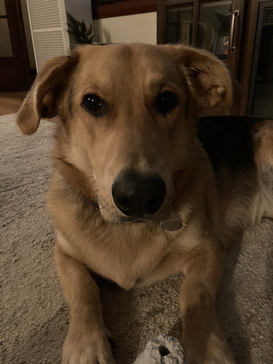 Matthew Durrigan tweet media