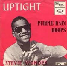 3: TITLE INSPIRATION Is it an allusion to Hendrix’s "Purple Haze" or perhaps to “Purple Shades which was a song title Prince’s father had.Is it a lyrical rip from  @StevieWonder’s “Purple Rain Drops”:“Purple rain drops, spotted flowersI've daydreamed for hours & hours”.