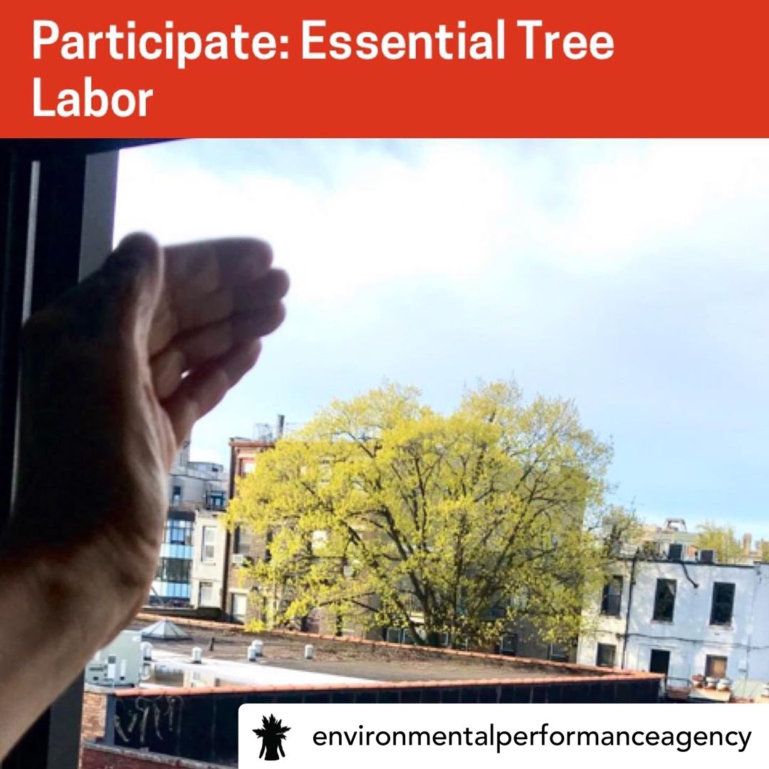 eirons's tweet image. 🌳💚#Multispecies Care Survey Protocol 05: Essential Tree Labor is our featured protocol this week. How is the tree living closest to you doing? Check in with them &amp;amp; let us know how it goes! #environmentalperformanceagency multispecies.care/protocol-05/