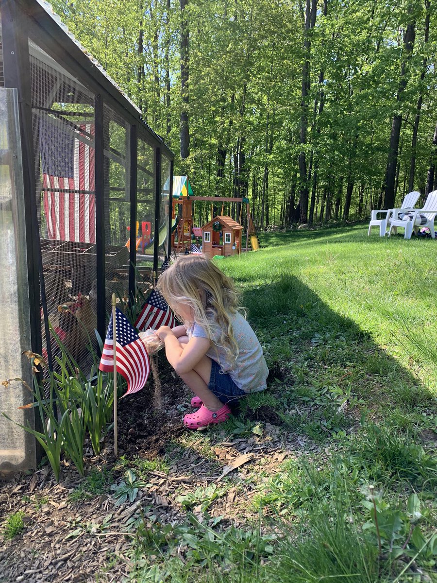 CaitlinAHicks's tweet photo. Planted all the seeds Ms Krysti mailed her #happymail @ShermanSchoolCT https://t.co/yPQhwiEAnh