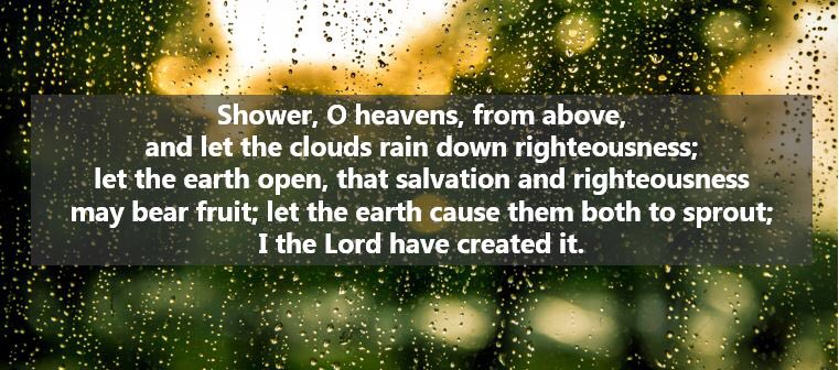 Biblical Symbolism:Rain can also be used as a metaphor for cleansing, wash away blood or even the sins of a character. The most common example is in the Bible, where it rains so much that the world is flooded & evil is washed away for God to reset the world.