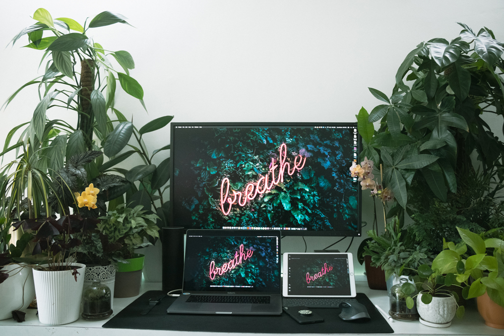 BizStoryContent's tweet photo. Keeping up your house plants and working from home are just a few ways we can stay connected to our environment and maintain lower air pollution. 

Continuing to  care for our environment is essential, read on to see how we plan on doing this and more: https://t.co/r3Li2653wl https://t.co/KWYscgfRXg