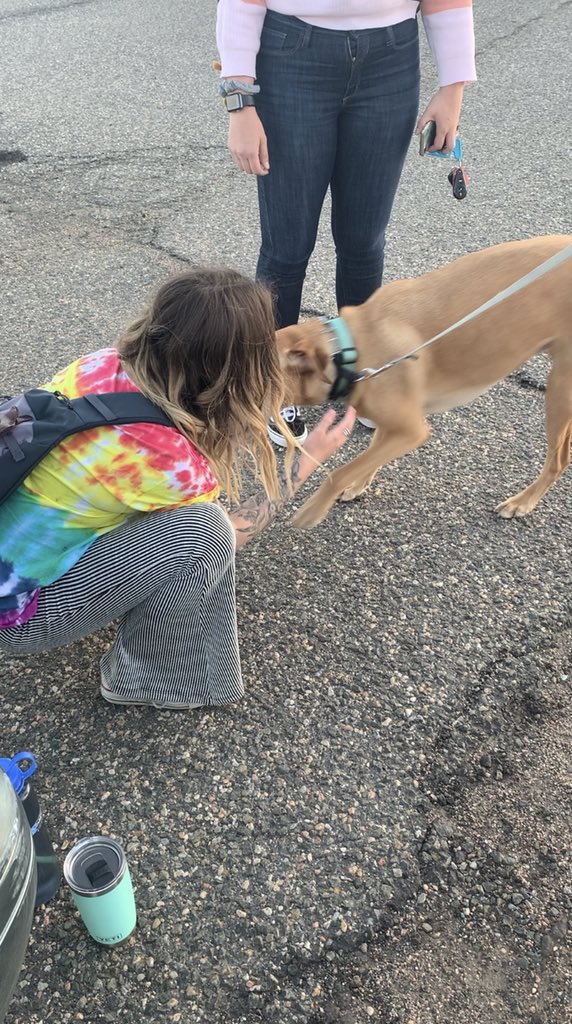 toastayeggs's tweet photo. Holla for bell bottoms, tie-dye, and puppies! #MentalHealthAwarenessMonth https://t.co/UoLgQYK4HD