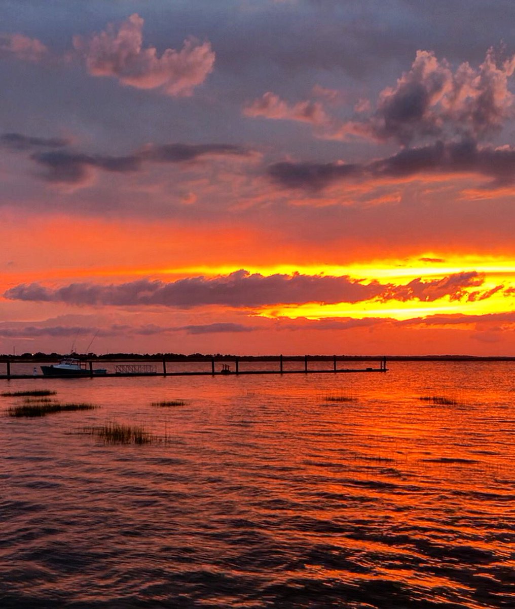 My Scoop tweet media