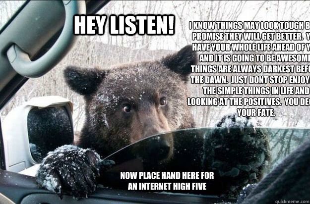 OKresponses's tweet photo. Bear friend https://t.co/BkYb2kUmh0