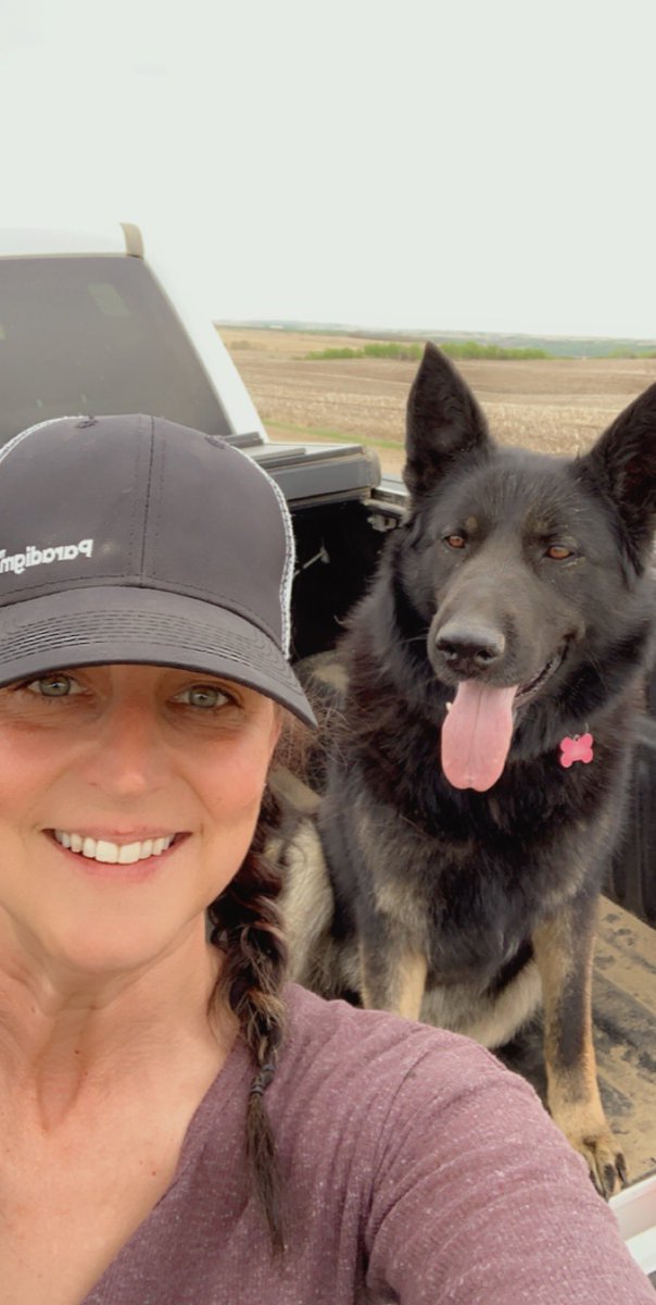I’ve been out scouting Paradigm preburn fields with my supervisor.  Best road companion to have, she even tolerated my singing!