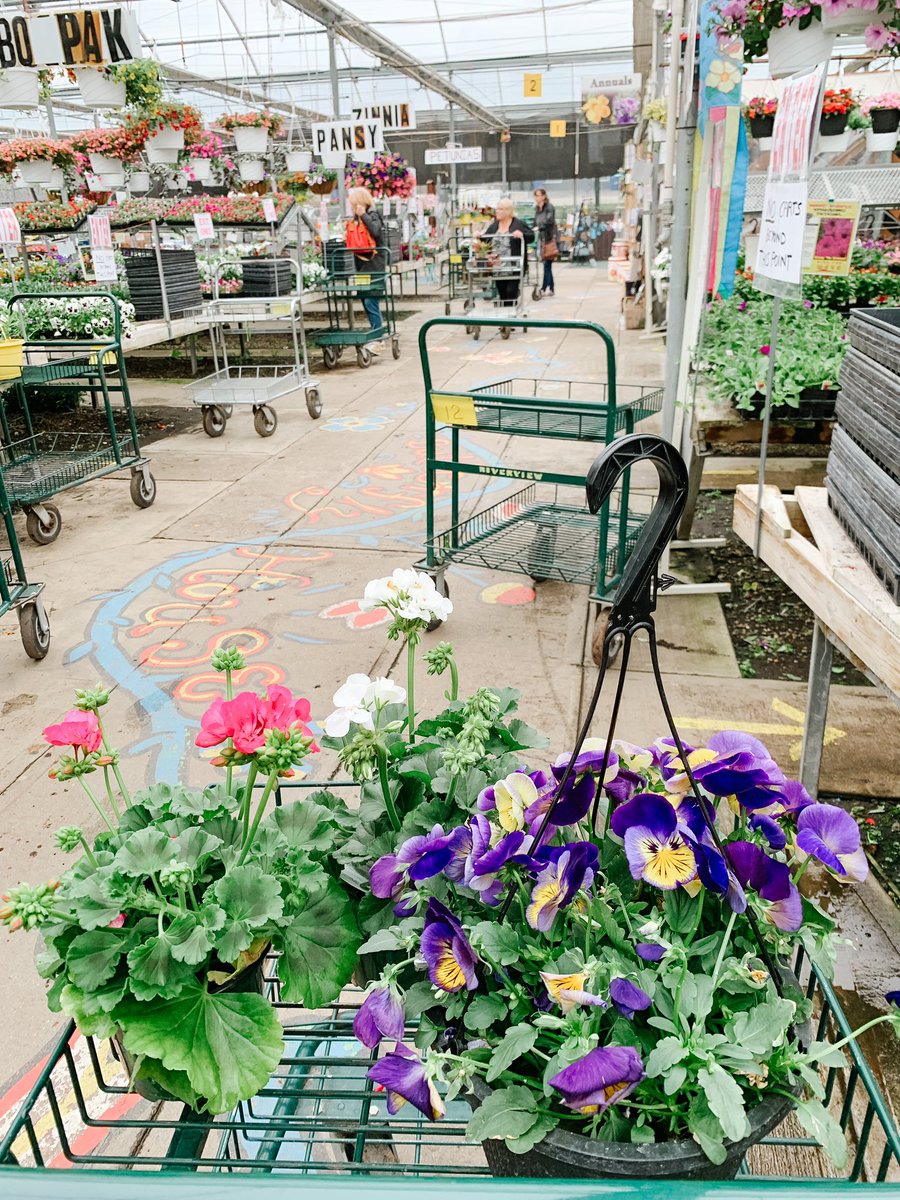 A morning at the greenhouse is a morning well spent 🌸 #medhat #springflowers