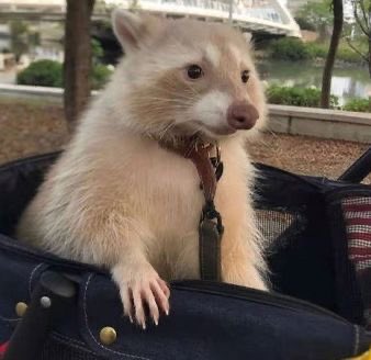 𝓔ugene. (@brainsmortifier) on Twitter photo 